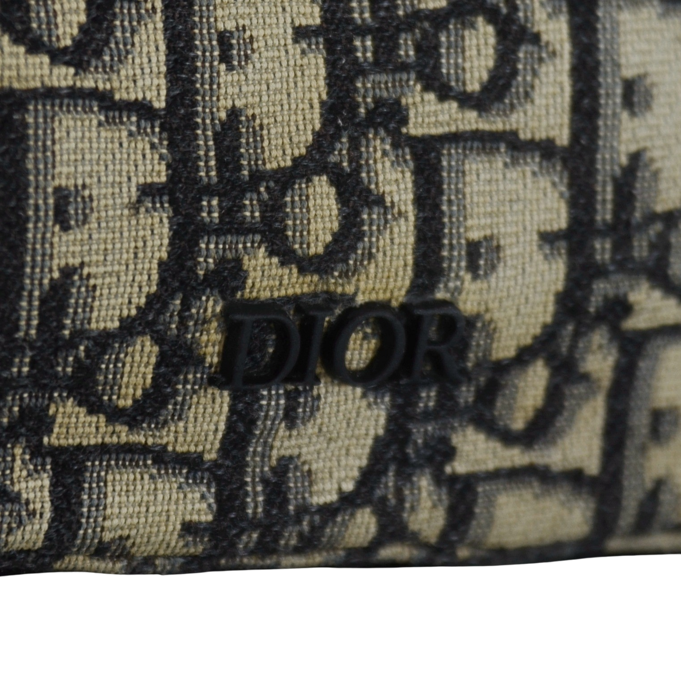 Dior Safari Bag | Oblique Beige